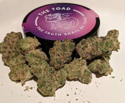 Buy The Toad Weed Strain