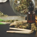 Understanding Cannabis Terpene Profiles Before You Buy