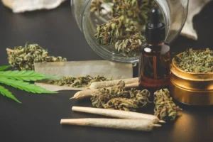 Understanding Cannabis Terpene Profiles Before You Buy