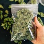 Why Quality Standards Are Reshaping The THC Marketplace