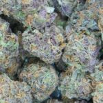 Why Terpenes Matter More Than THC Percentage