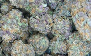 Read more about the article Why Terpenes Matter More Than THC Percentage