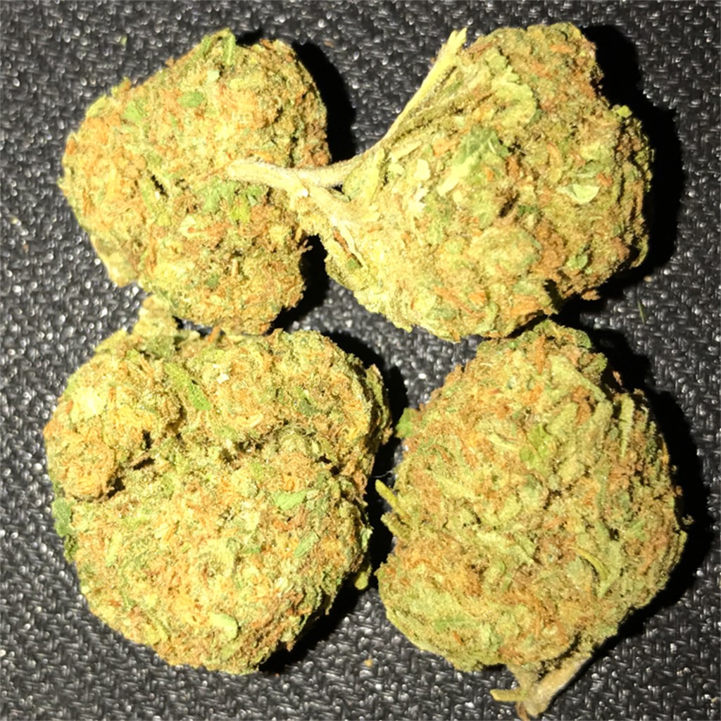 Buy Maui Wowie Strain Online